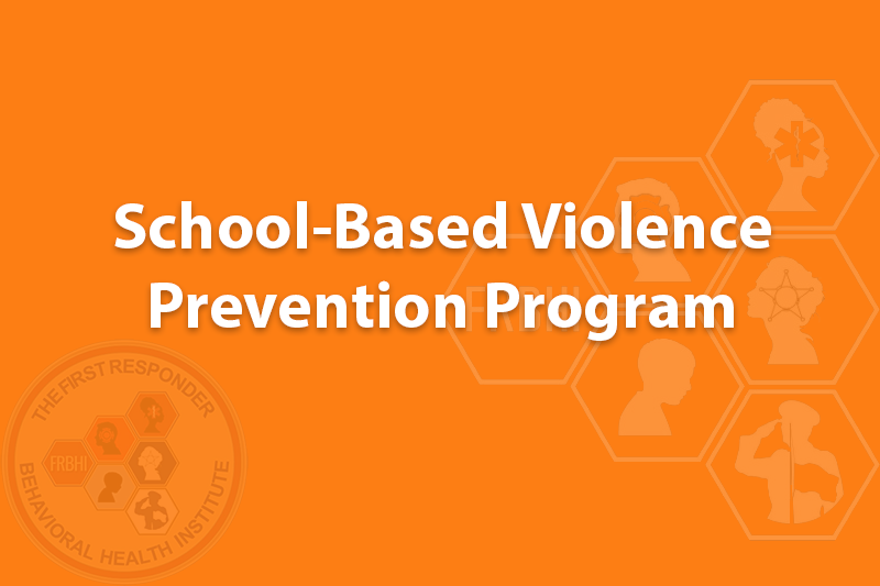 School-Based Violence Prevention Program