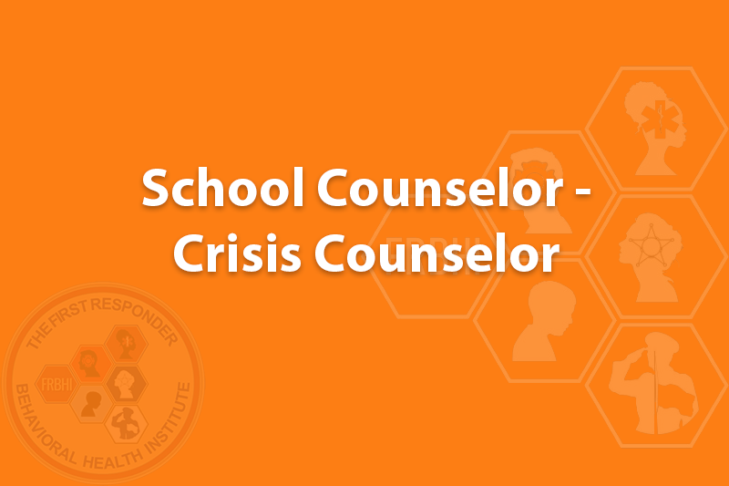 School Counselor - Crisis Counselor